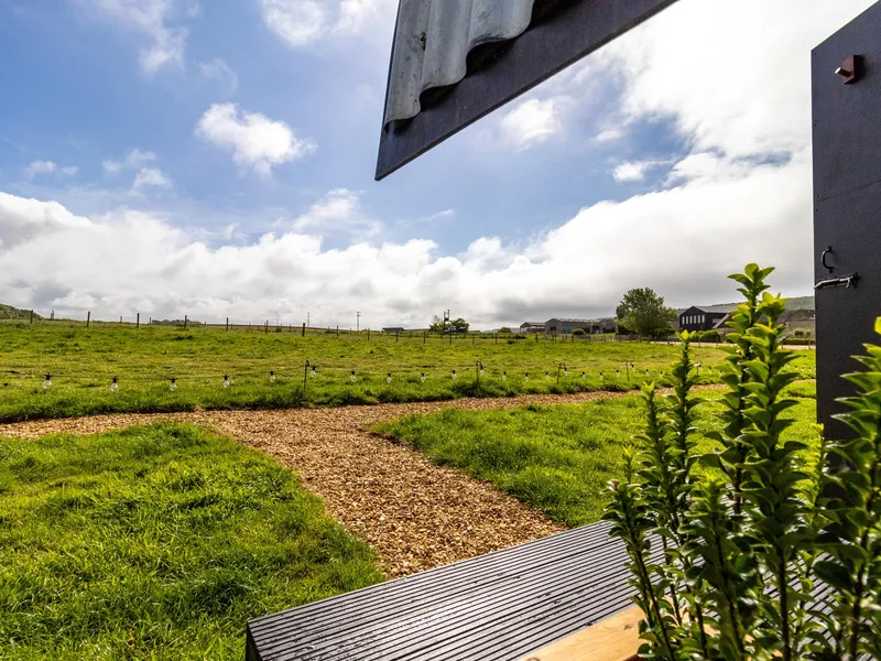 View from a doorway over a grassy field with a winding gravel path and string lights under a blue sky