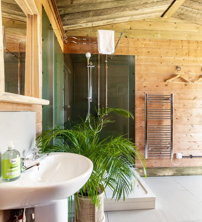 Rustic wooden bathroom with sink, glass-walled shower and potted palm