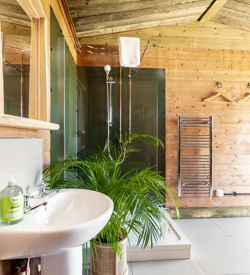 Rustic wooden bathroom with sink, glass-walled shower and potted palm