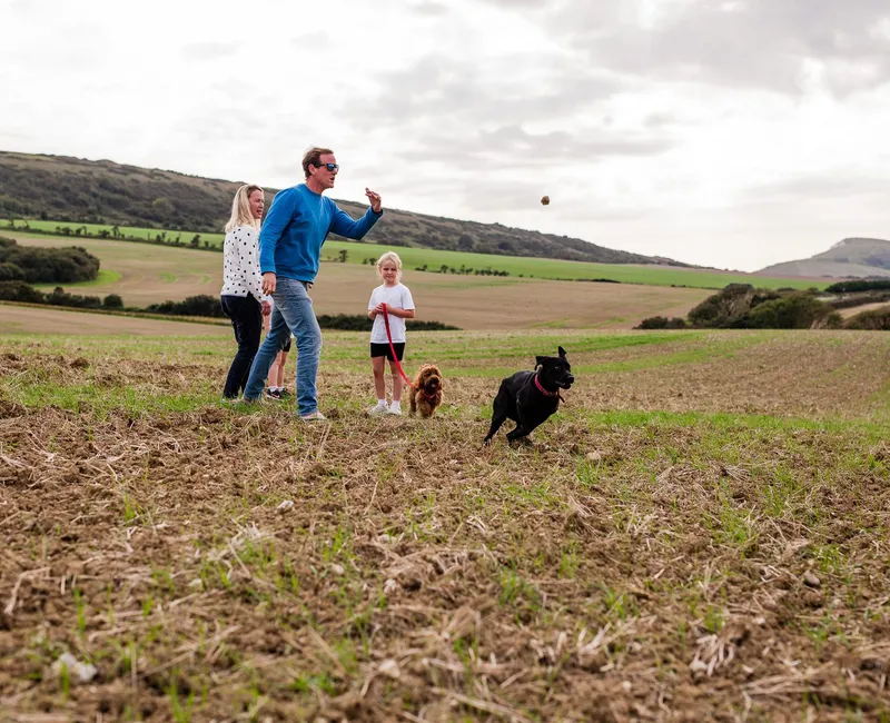 Family walking dogs in a countryside field while a man throws a ball