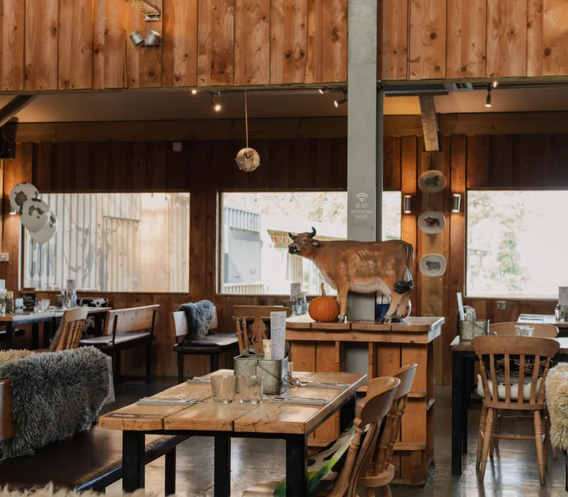 Rustic wooden café interior with tables, chairs, sheepskin throws and a cow sculpture on a central stand