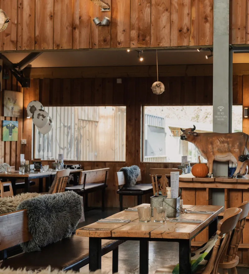 Rustic wooden café interior with tables, chairs, sheepskin throws and a cow sculpture on a central stand