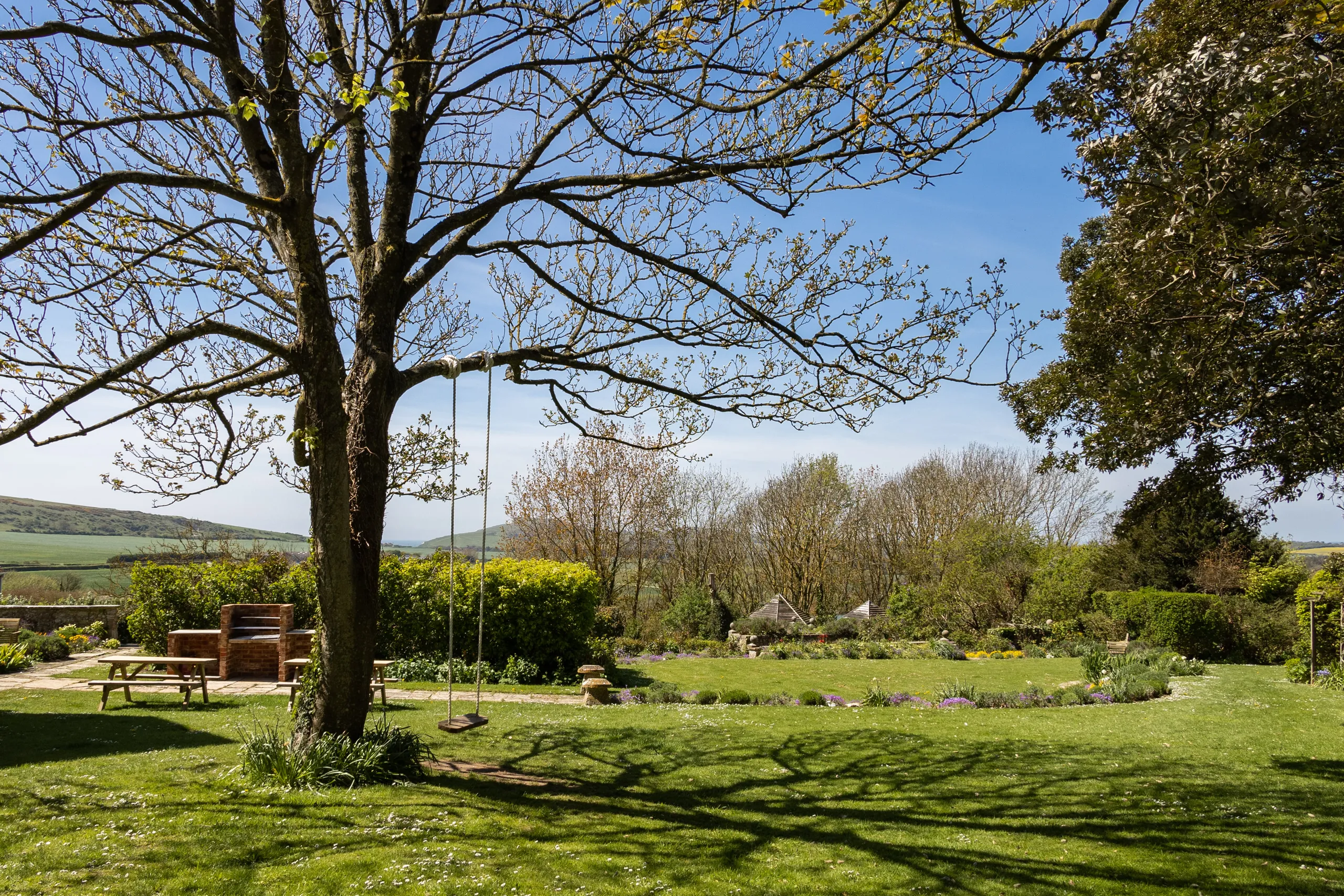 Large tree with a rope swing in a sunny garden overlooking rolling countryside