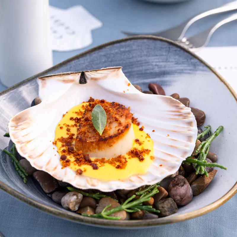 Seared scallop served in its shell with golden sauce, crispy crumbs and sea herbs on a pebble-filled plate.