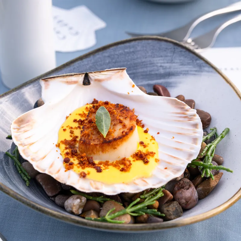 Seared scallop served in its shell with golden sauce, crispy crumbs and sea herbs on a pebble-filled plate.