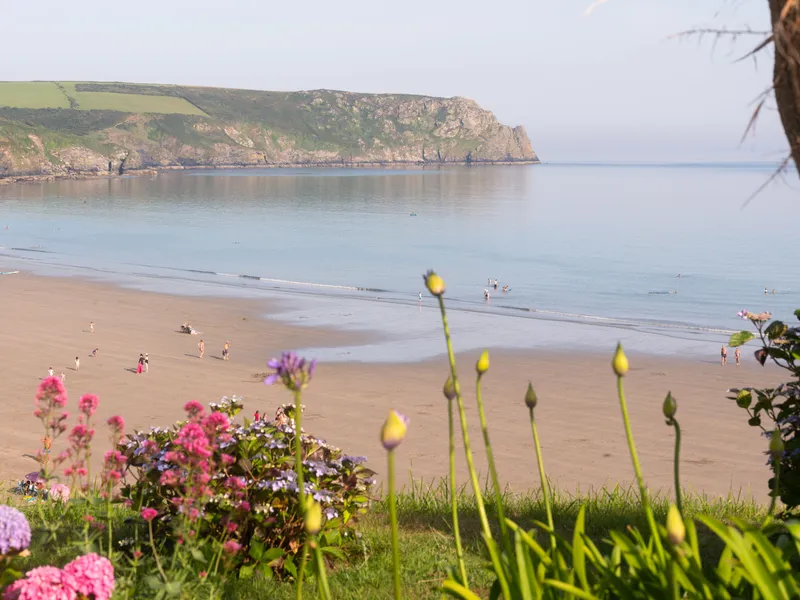 View across a sandy bay towards rocky coastal cliffs, framed by flowering plants and a palm-like tree.