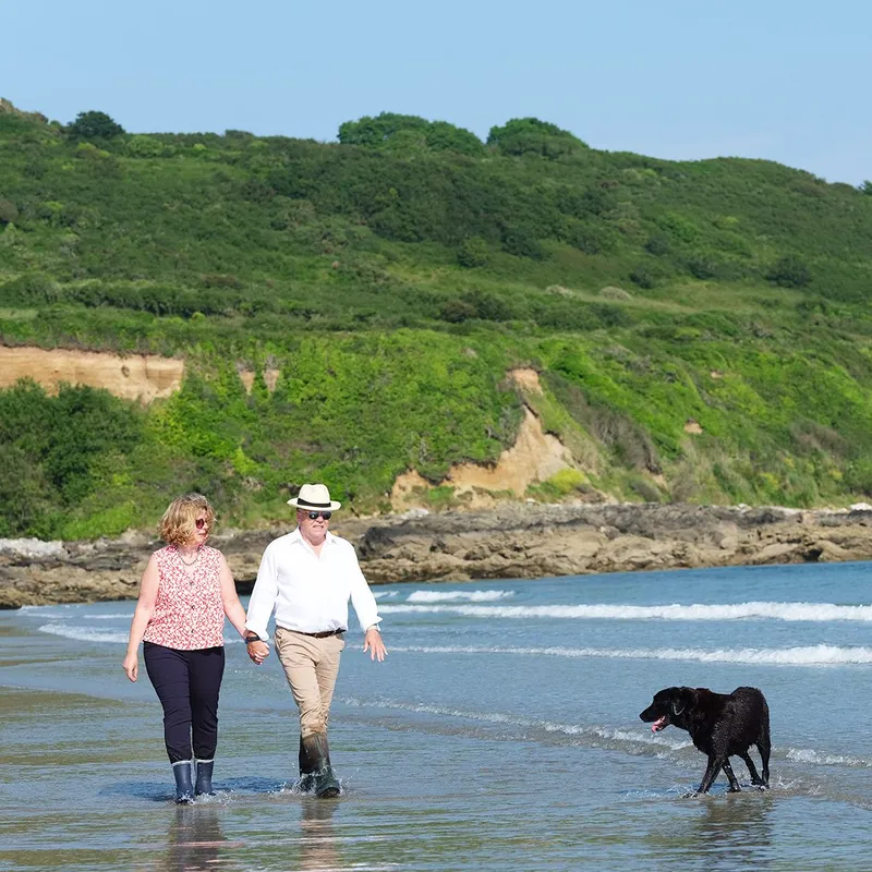 Couple walking hand in hand with a black dog in shallow sea water beneath green coastal cliffs.