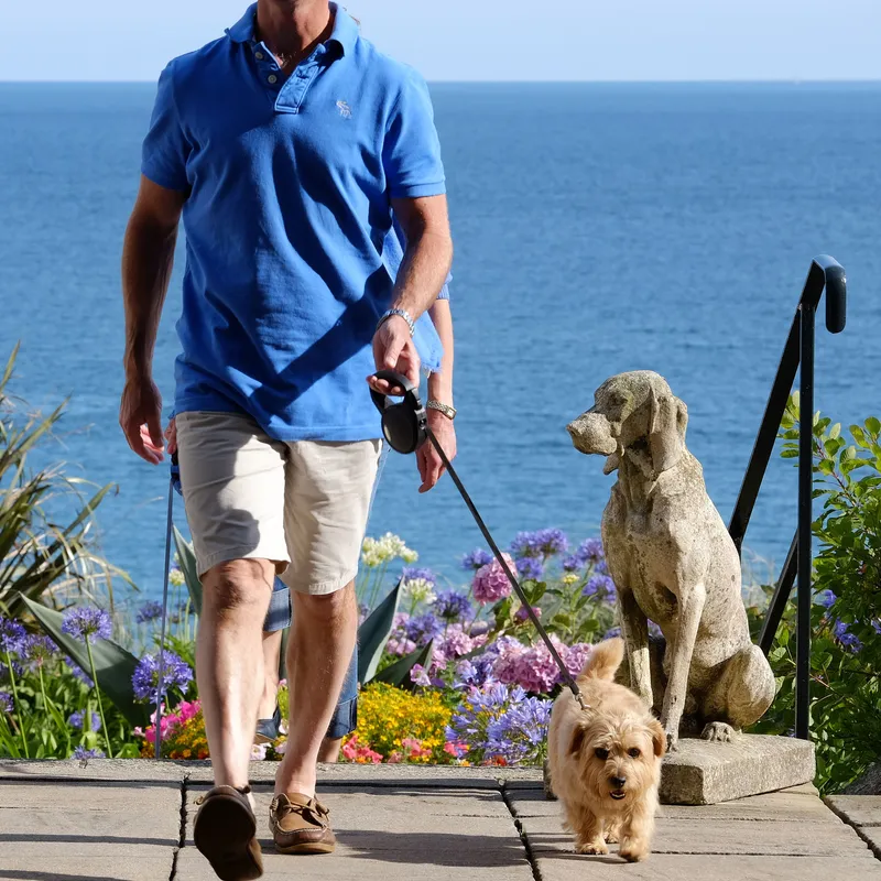 Man in a blue polo shirt walking a small dog on a lead between stone dog statues beside a colourful seaside garden.