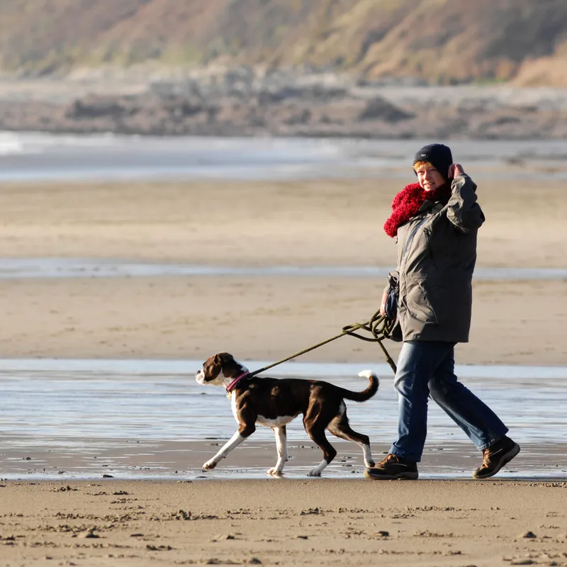 Woman in a winter coat and red scarf walking a dog on a sandy beach