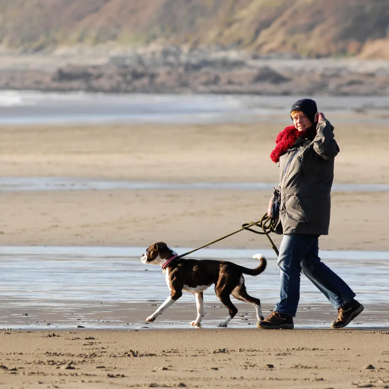 Woman in a winter coat and red scarf walking a dog on a sandy beach