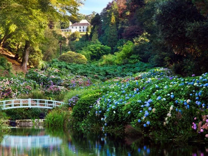 Lush garden with colourful hydrangeas, a white footbridge and reflective pond beneath a white house