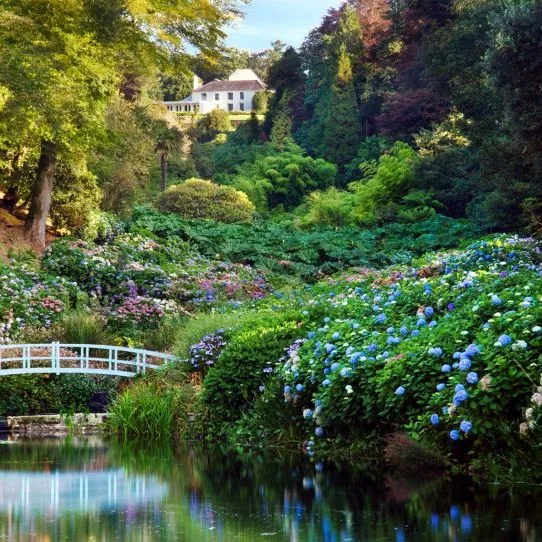 Lush garden with colourful hydrangeas, a white footbridge and reflective pond beneath a white house