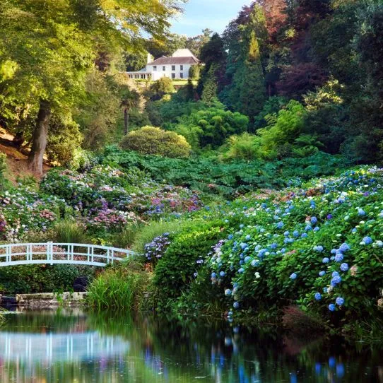 Lush garden with colourful hydrangeas, a white footbridge and reflective pond beneath a white house