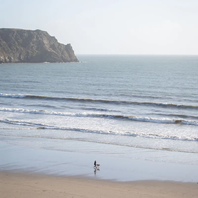 A person walking a dog on a wide sandy beach beneath a rocky headland, with gentle waves rolling in.