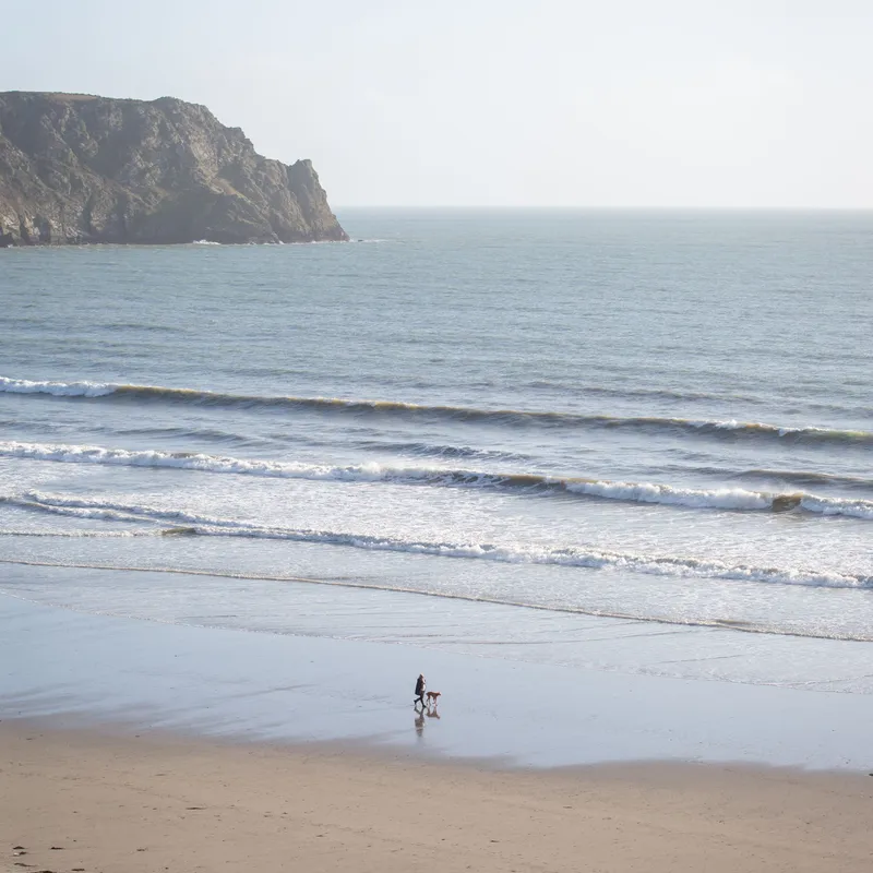 A person walking a dog on a wide sandy beach beneath a rocky headland, with gentle waves rolling in.