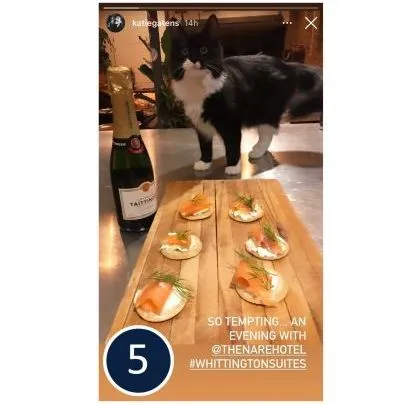 Black-and-white cat behind smoked salmon canapés and a bottle of sparkling wine