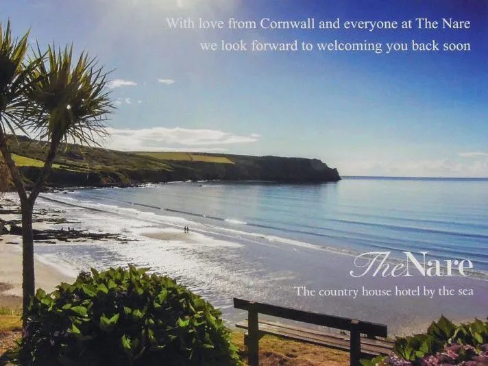 Sunlit Cornish beach and calm sea viewed past a palm tree and bench, with a message from The Nare overlaid
