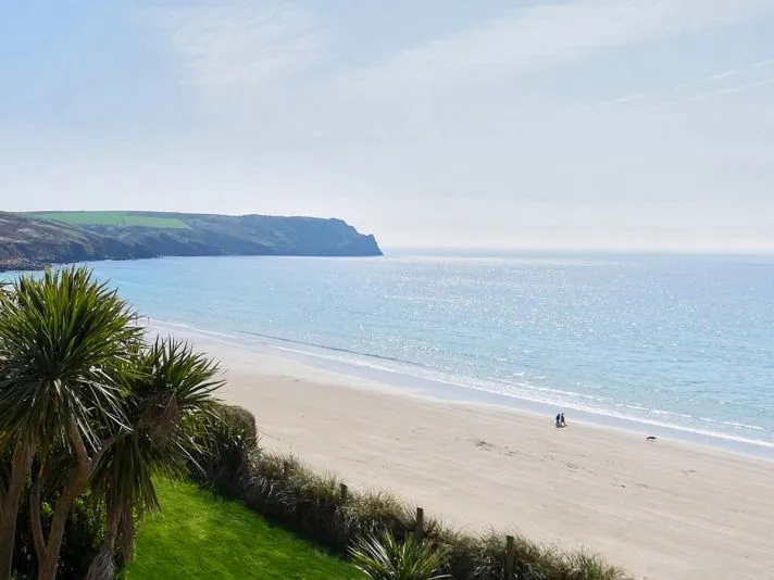 Palm trees overlooking a quiet sandy beach, calm blue sea and a distant headland