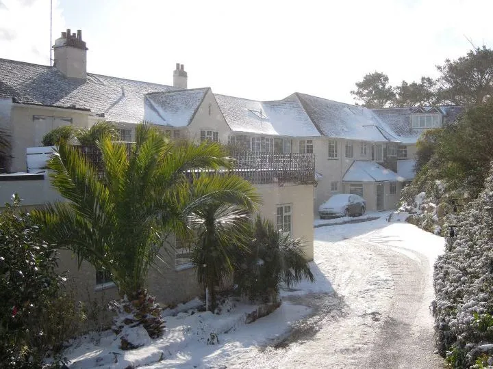 Snow-covered driveway beside pale houses and palm trees on a sunny winter day