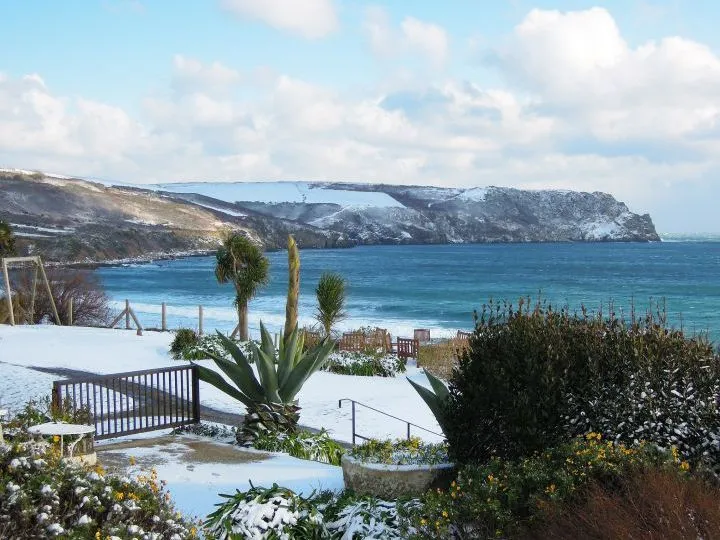 Snow-covered coastal garden overlooking a blue bay and snowy headland beneath a cloudy sky