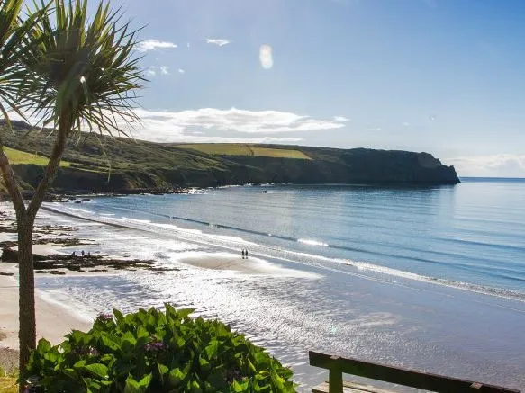Sunlit beach and calm blue sea framed by coastal trees, with a headland across the bay