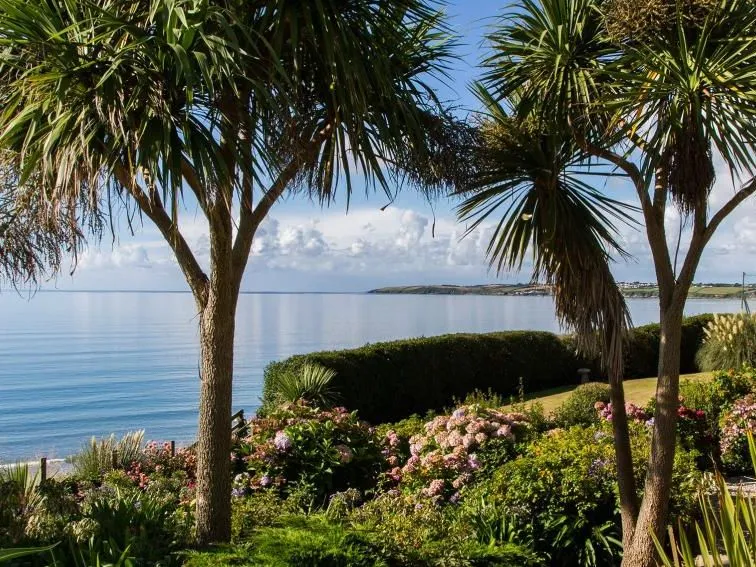 Palm trees and flowering shrubs in The Nare gardens overlooking the calm sea towards Portscatho