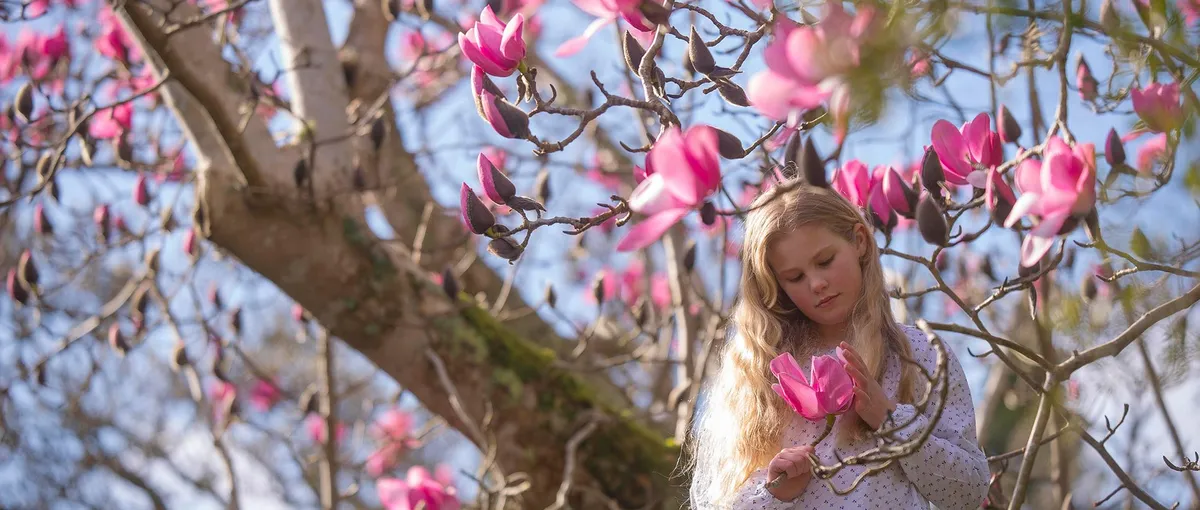 Young girl standing beneath blooming pink magnolia branches, gently holding a magnolia flower.
