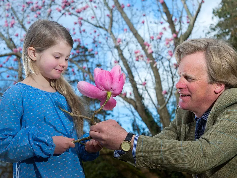 A man and a young girl admire a large pink magnolia blossom on a branch in a garden beneath flowering trees.