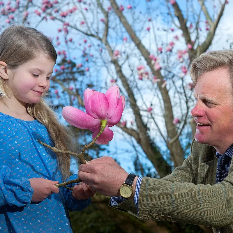 A man and a young girl admire a large pink magnolia blossom on a branch in a garden beneath flowering trees.