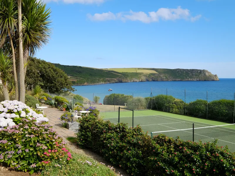 Coastal garden with flowering hydrangeas, palm trees and a tennis court overlooking a calm bay and headland under a blue sky