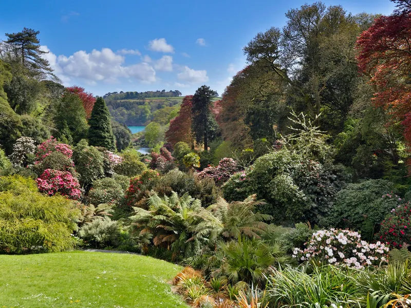 Lush Cornish garden with flowering shrubs, mature trees and a distant water view beneath a bright blue sky