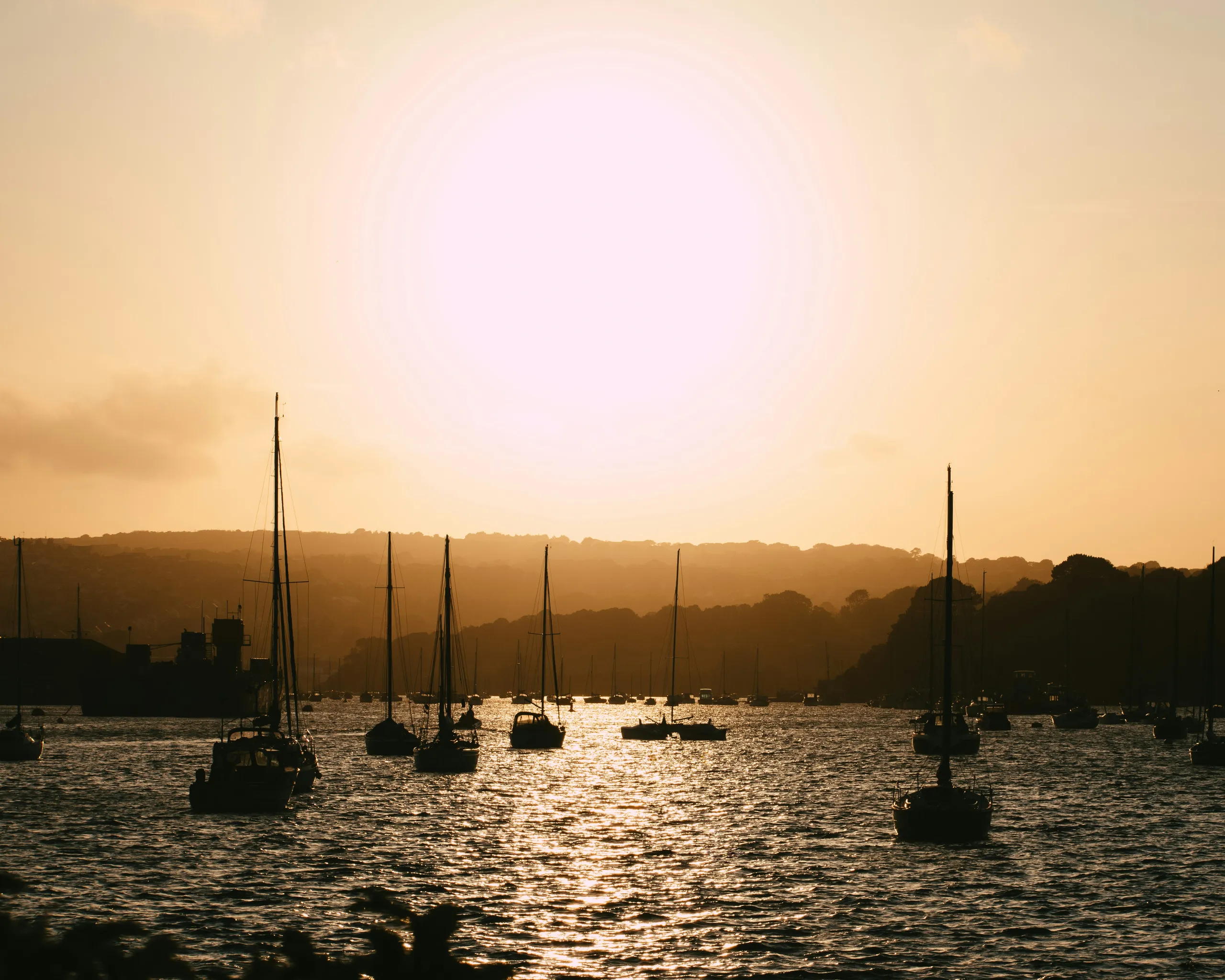 Silhouetted sailboats and small boats on a calm harbour at sunset, with golden light reflecting across the water.