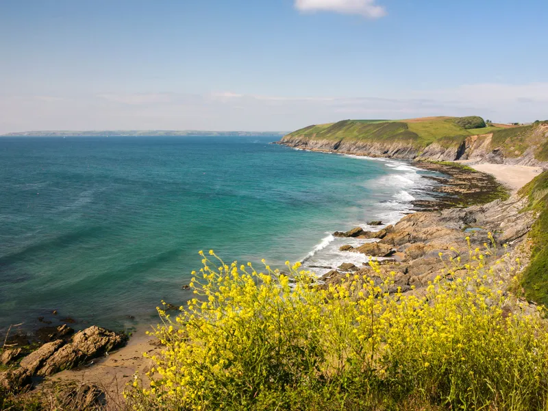 Porthbeor Beach, St Anthony Coastal bay with turquoise water, rocky cliffs and yellow wildflowers under a blue sky