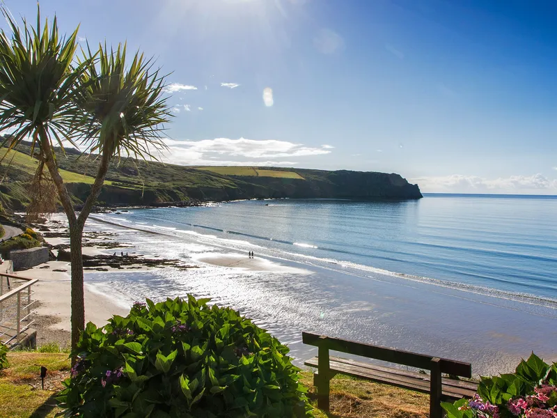 Sunlit view over a quiet sandy Carne beach with calm sea, cliffs, palm trees and a bench in the foreground.