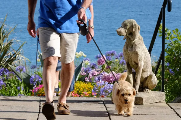 Man walking a small dog on a lead along a seaside terrace between two stone dog statues