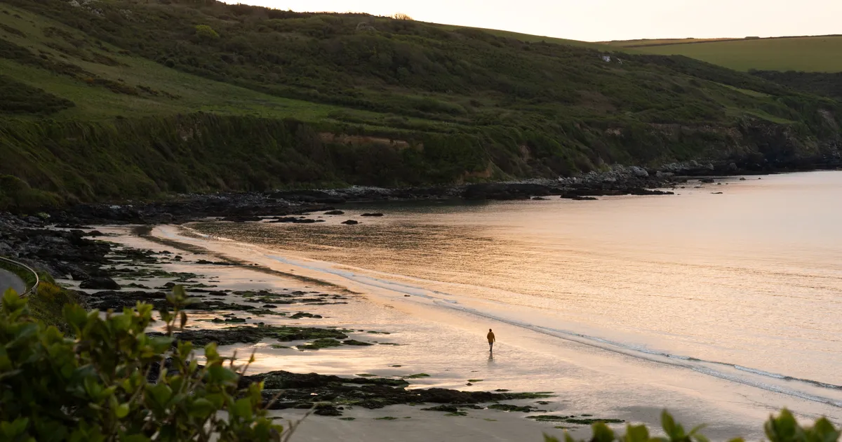Carne Beach A solitary person walking along a quiet sandy cove at sunset, with calm sea, rocky shoreline and green cliffs in the background.
