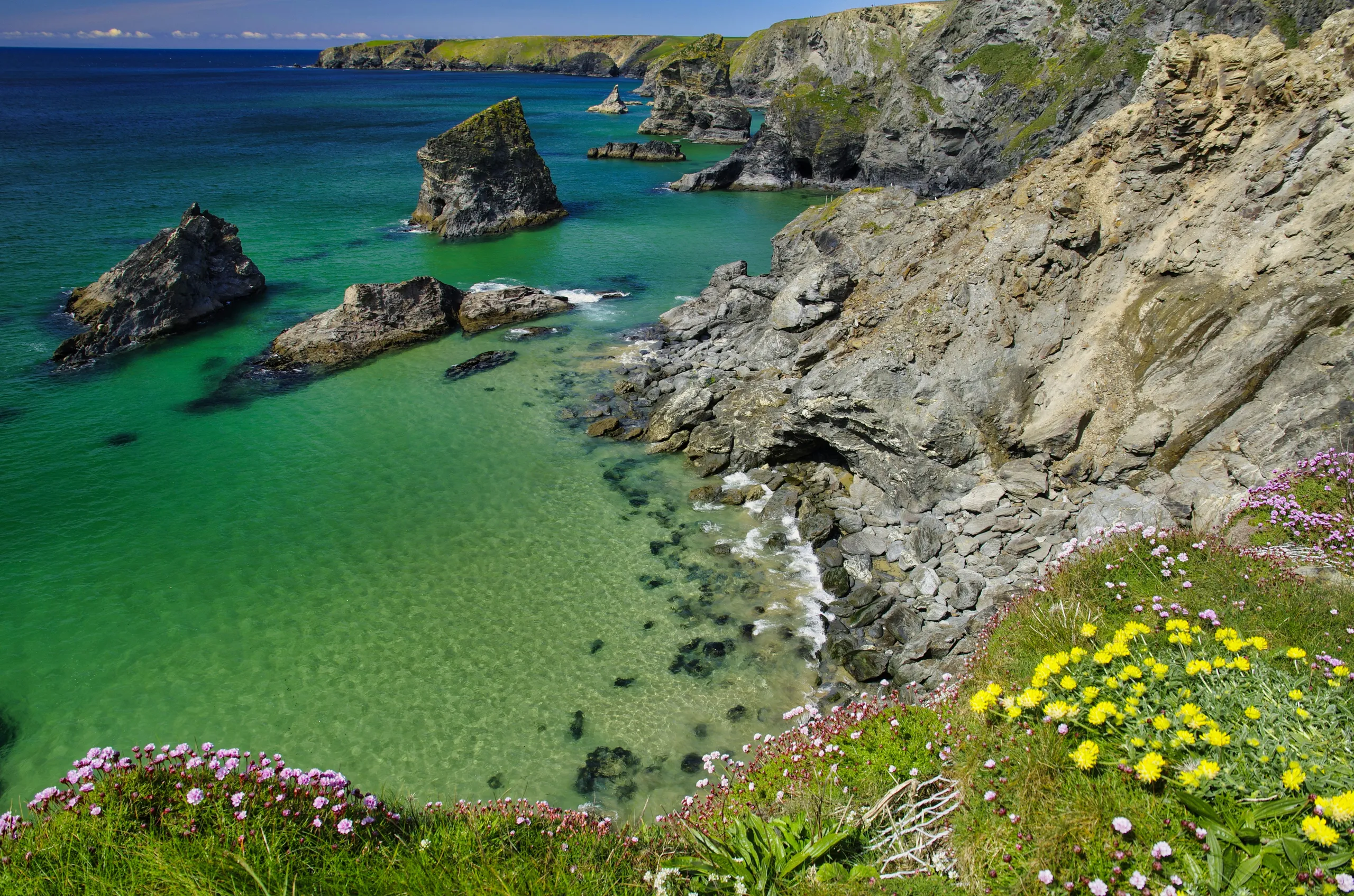 Rocky coastal cove with turquoise water, sea stacks and wildflowers on the cliff edge