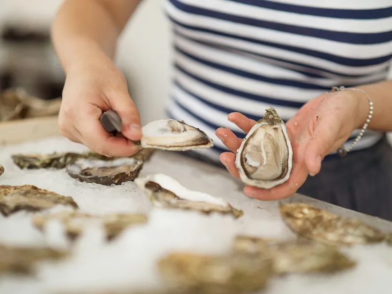 Person shucking a fresh oyster over a bed of ice