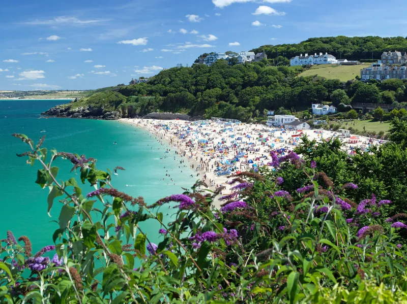 St Ives Panoramic view of a busy sandy beach with turquoise sea, green hillside and purple flowers in the foreground under a bright blue sky.