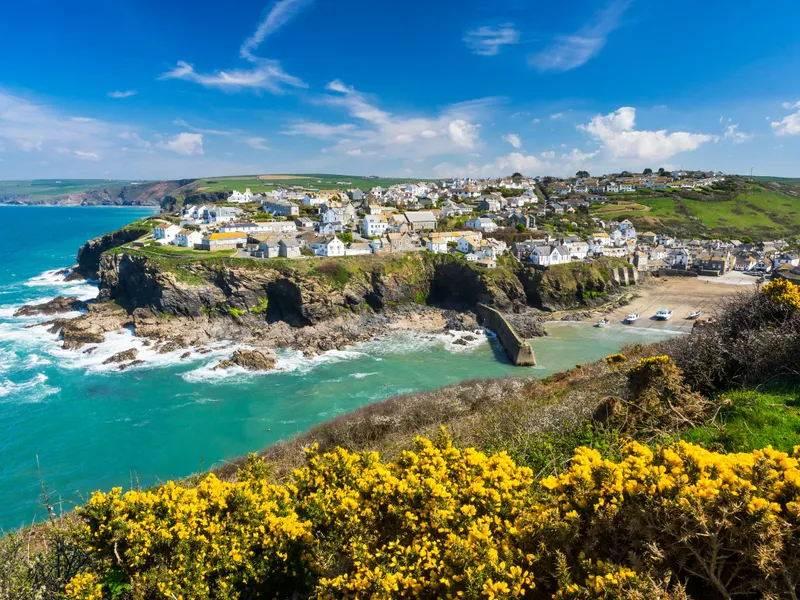 Port Isaac Coastal village on rocky cliffs with a small harbour, turquoise sea and yellow gorse under a bright blue sky