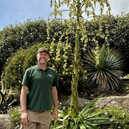 Gardener standing beside a tall flowering succulent in a landscaped garden