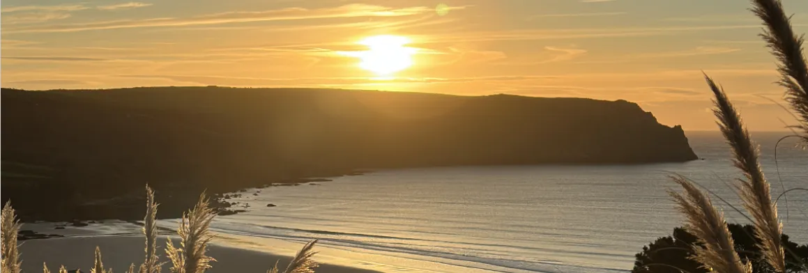 Golden sunrise over a calm bay with dark cliffs, gentle waves and tall grasses in the foreground