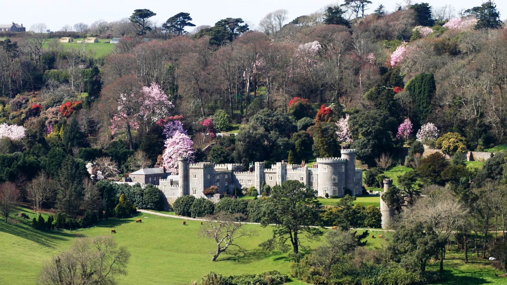 Caerhays Castle A grand castellated house set within landscaped gardens and parkland in Cornwall, with a lake in the foreground and spring blossom on the surrounding trees.