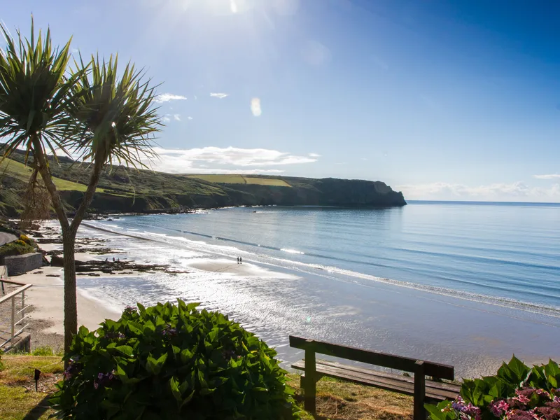 Sunlit coastal bay with a sandy beach, calm sea, palm trees and a bench overlooking the shore.