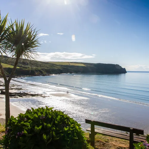 Sunlit coastal bay with a sandy beach, calm sea, palm trees and a bench overlooking the shore.