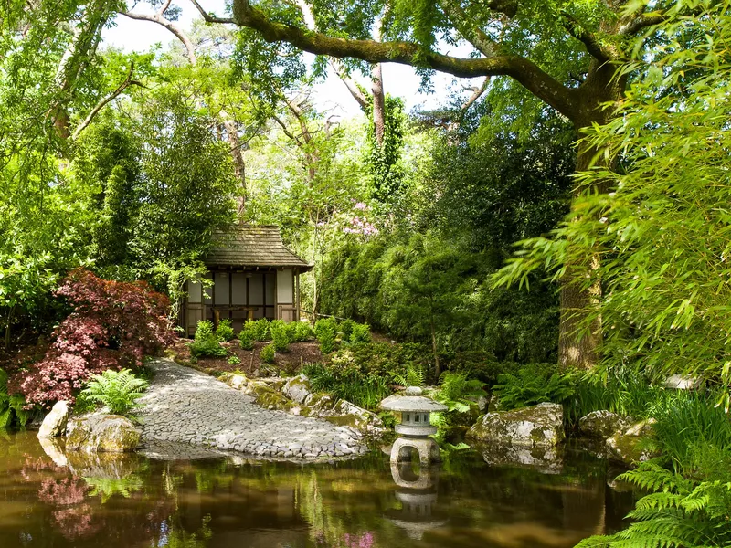 Trewidden House and Gardens Japanese-style garden with a stone bridge, pond lantern and small pavilion surrounded by lush trees and bamboo in Cornwall