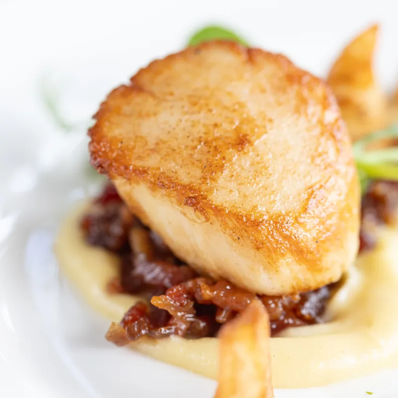 Close-up of a seared scallop served on a smooth purée with caramelised onions and crisp garnish