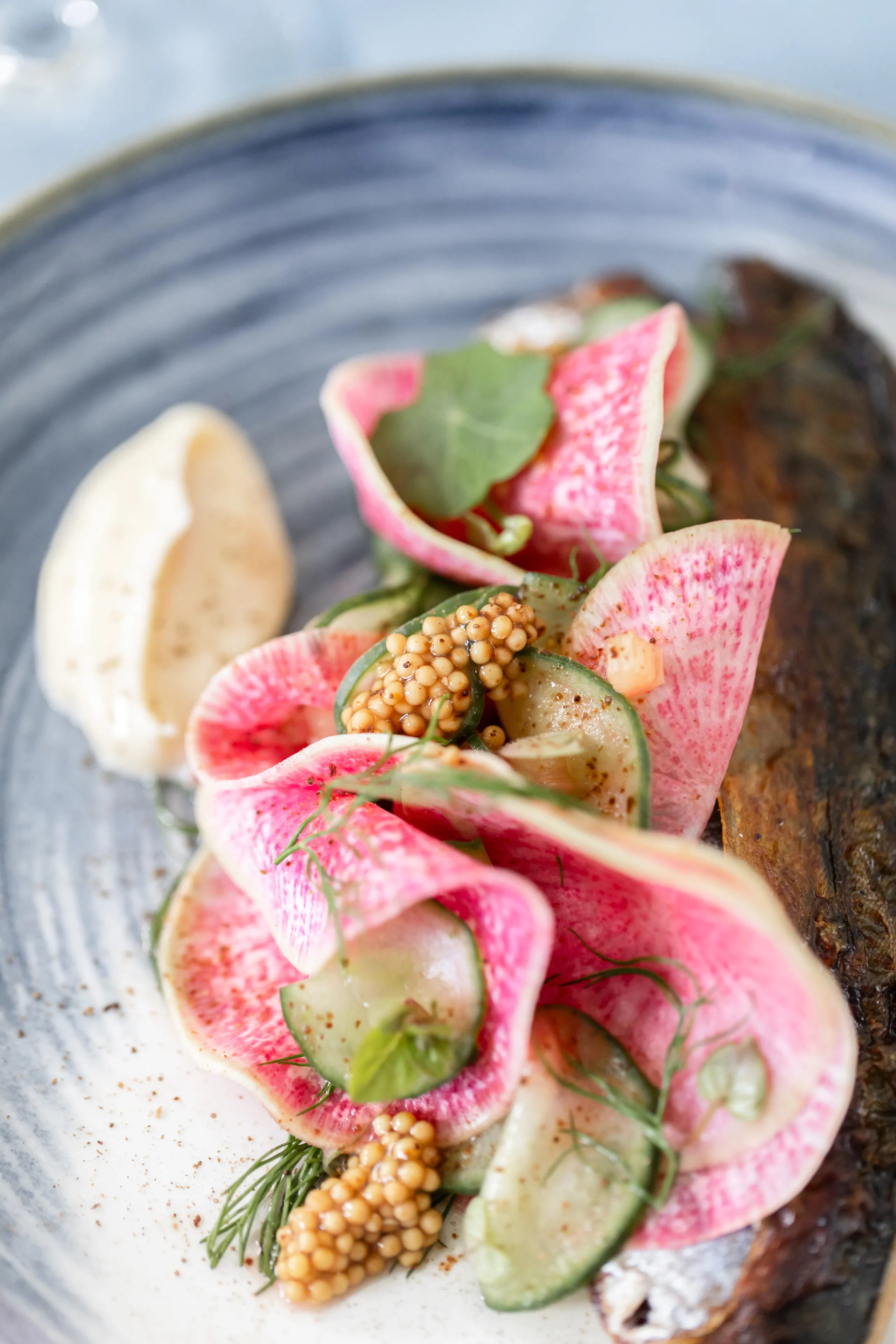 Plated fish dish with pink watermelon radish ribbons, cucumber slices, herbs and a quenelle of creamy purée.
