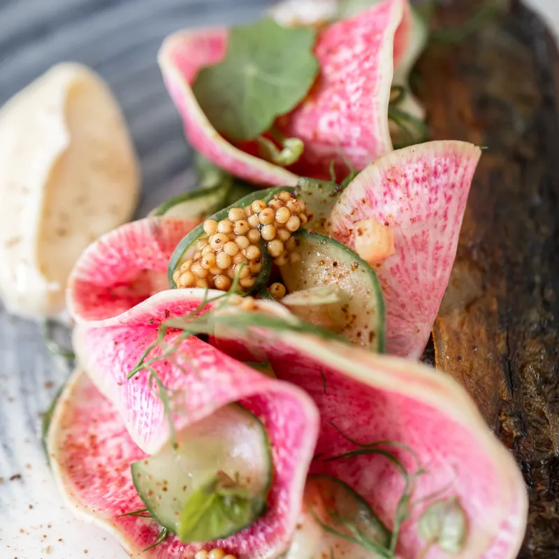 Close-up of a plated fish dish with pink radish ribbons, cucumber slices, mustard seeds and herbs on a ceramic plate.