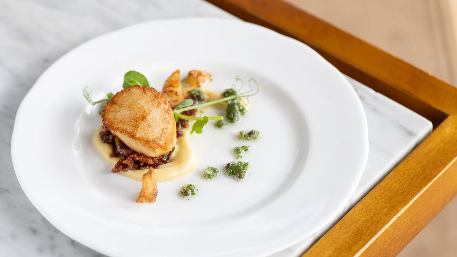Pan-seared scallop plated with purée, caramelised garnish and green herb sauce on a white plate